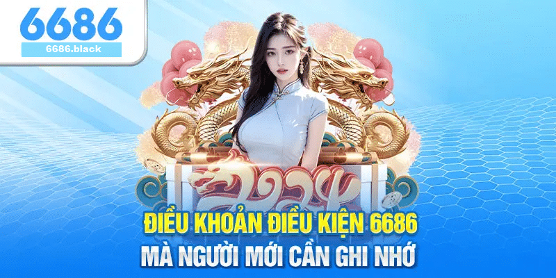 Điều kiện sử dụng dịch vụ tại 6686