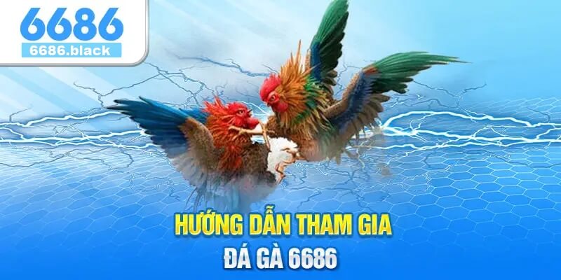 Hướng Dẫn Tham Gia Đá Gà 6686